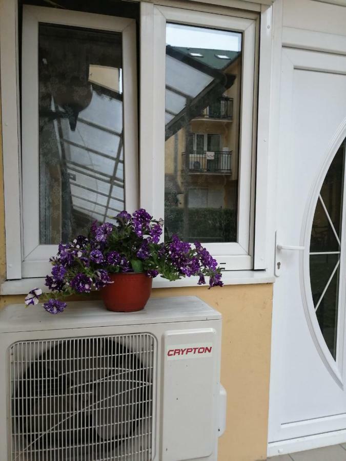 Apartman "Garden" Apartment Novi Sad Exterior photo